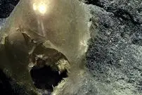 عجیب‌ترین اکتشافات دریایی سال ۲۰۲۳؛ از قلّه‌ای در اعماق تا جسم طلایی مرموز