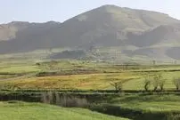 کشف سفال‌های منحصر به فرد ۷ هزار ساله در کرمانشاه