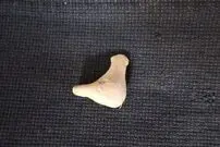 ۲۰۰۰ سال پیش هم سوت می‌ساختند