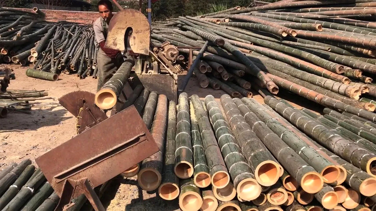 (ویدئو) فرآیند تماشایی پردازش چوب بامبو در یک کارگاه بزرگ چینی