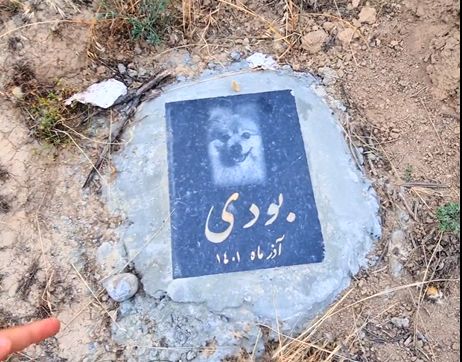 (ویدیو) سنگ قبر یک سگ در گرگان خبرساز شد