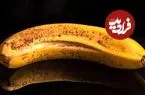 ۴ نشانه علمی که می‌گوید باید یک ماده غذایی را دور بریزید