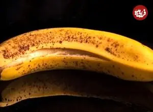 ۴ نشانه علمی که می‌گوید باید یک ماده غذایی را دور بریزید