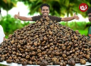ببینید؛ غذای روستایی در هند؛ پخت خوراک حلزون در طبیعت