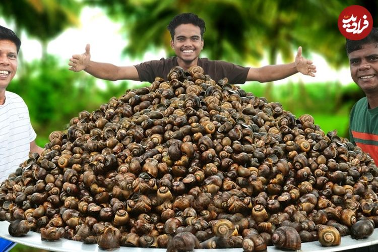 ببینید؛ غذای روستایی در هند؛ پخت خوراک حلزون در طبیعت