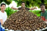 ببینید؛ غذای روستایی در هند؛ پخت خوراک حلزون در طبیعت