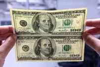 جدول| قیمت دلار امروز سه‌شنبه ۱۴ بهمن ۱۴۰۴