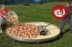 ببینید| غذای روستایی در آذربایجان؛ مراحل دیدنی پخت کیک پای خانگی با سیب های کوهی
