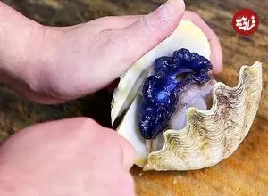 ببینید| غذای خیابانی در ژاپن؛ تهیه ساشیمی با صدف درخشان در اوکیناوا