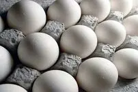 جزئیات کاهش قیمت تخم‌مرغ در بازار
