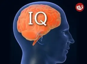 هوش بچه به مادرش می رود یا به پدرش؟