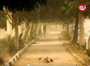 هشدار نسبت به وزش باد شدید در تهران/ بارش برف و باران در نقاط مختلف