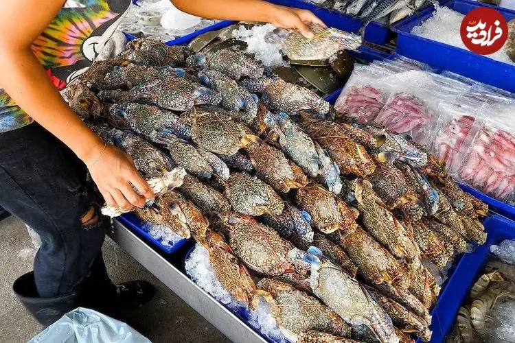 ببینید| غذای خیابانی در تایلند؛ تهیه خوراک با خرچنگ، میگو و خرچنگ نعل اسبی در بانکوک