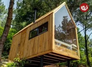تصاویر؛ خانه جنگلی دوران مدرن! 