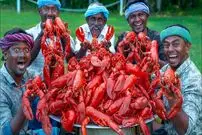 ببینید| غذای روستایی در هند؛ پخت غذا با لابستر به روش پدر و پسران روستایی