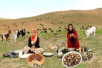 ببینید؛ غذای عشایری در افغانستان؛ پخت دلمه بادمجان و گوشت