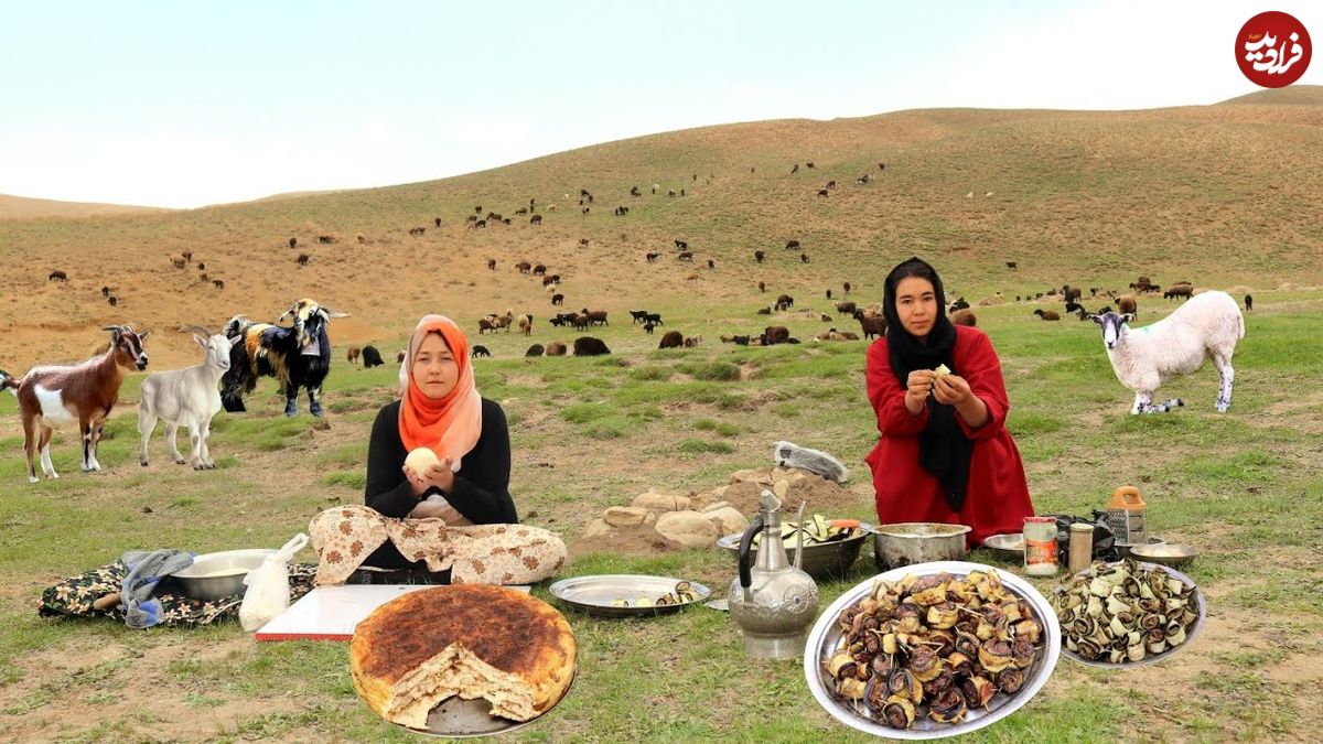 ببینید؛ غذای عشایری در افغانستان؛ پخت دلمه بادمجان و گوشت