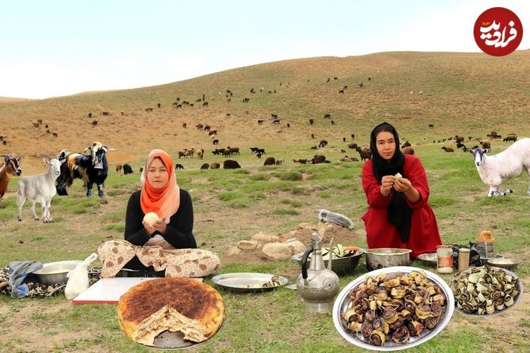 ببینید؛ غذای عشایری در افغانستان؛ پخت دلمه بادمجان و گوشت