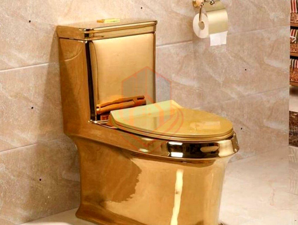 (عکس) توالتی از طلای 24 عیار