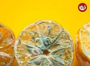 میوه کپک‌زده را بخوریم یا دور بریزیم؟؛ نکات طلایی برای جلوگیری از کپک میوه