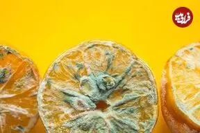 میوه کپک‌زده را بخوریم یا دور بریزیم؟؛ نکات طلایی برای جلوگیری از کپک میوه