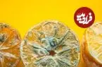 میوه کپک‌زده را بخوریم یا دور بریزیم؟؛ نکات طلایی برای جلوگیری از کپک میوه