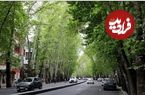 عکس؛ سفر در زمان؛ «خیابان ولیعصر» در یک روز برفی؛ دهه 40