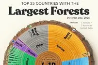 اینفوگرافی؛ اینفوگرافی کشورهایی که بیشترین سهم را از جنگل‌های کره زمین دارند 