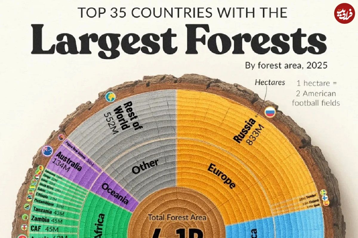 اینفوگرافی؛ اینفوگرافی کشورهایی که بیشترین سهم را از جنگل‌های کره زمین دارند 