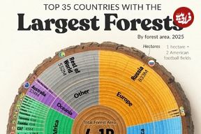 اینفوگرافی؛ اینفوگرافی کشورهایی که بیشترین سهم را از جنگل‌های کره زمین دارند 