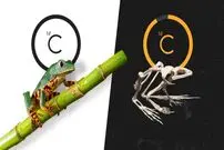 تصاویر؛ اسرار کربن -۱۴؛ ساعتی که با مرگ موجود زنده به کار می‌افتد