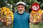 ببینید؛ غذای روستایی در آذربایجان؛ تهیه کومپیر سوسیس و پنیر 