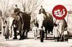 عکس| سفر در زمان؛ راز فیل در ارودگاه قاجارها؛ ثبت تصویر دو حیوان در عکس تاریخی