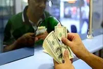 شرایط دریافت دلار سهمیه‌ای با کدملی چگونه است؟