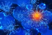 چرا سیستم ایمنی بدن ضعیف می‌شود؟