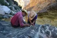 کشف باکتری‌هایی که می‌توانند گاز را به «سنگ» تبدیل کنند