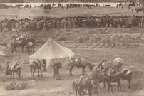 (تصاویر) سفر به عصر قاجار؛ چشم‌انداز متفاوت انزلی و استقبال باشکوه از ناصرالدین‌شاه
