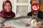 ببینید| غذای روستایی در افغانستان؛ پخت غذای سنتی با ماهی توسط زوج سالخورده افغان