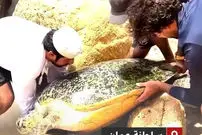ببینید| نجات لاک‌پشت غول‌پیکر از میان صخره‌ها