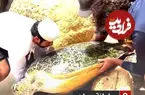 ببینید| نجات لاک‌پشت غول‌پیکر از میان صخره‌ها
