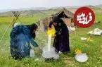 ببینید| غذای روستایی در ایران؛ تهیه پنیر با شیر بز توسط بانوان عشایر