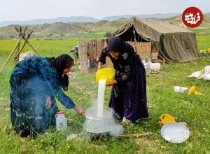 ببینید| غذای روستایی در ایران؛ تهیه پنیر با شیر بز توسط بانوان عشایر