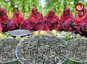 ببینید| غذای روستایی در هند؛ پخت خوراک با ماهی های ریز و سبزیجات در روستا