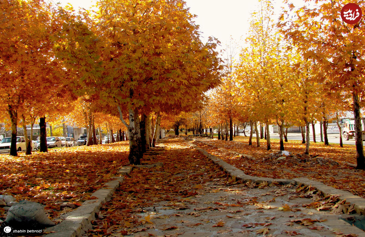 (عکس) پاییز هزار رنگ در یاسوج