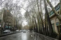(عکس) تهران قدیم؛ نمایی دیده نشده از «خیابان سنگفرش ولیعصر» در دهه 1310