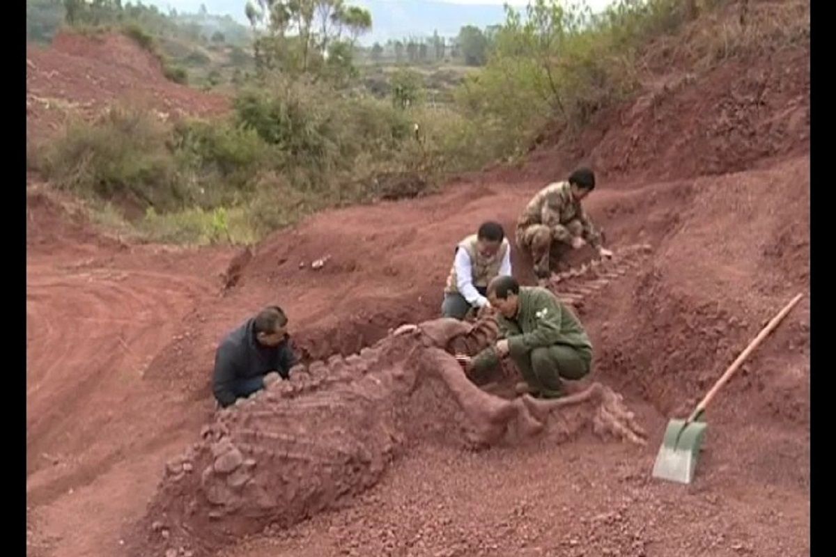 (ویدئو) لحظه کشف یک دایناسور 180 میلیون ساله نادر در چین