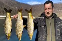 ببینید| غذای روستایی در آذربایجان؛ صید 3 ماهی کپور و کباب کردن آن ها به روشی خاص