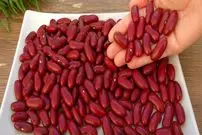 ببینید| طرز تهیه خوراک لوبیا قرمز اسپانیایی