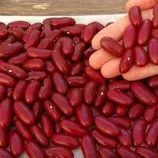 ببینید| طرز تهیه خوراک لوبیا قرمز اسپانیایی