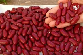 ببینید| طرز تهیه خوراک لوبیا قرمز اسپانیایی